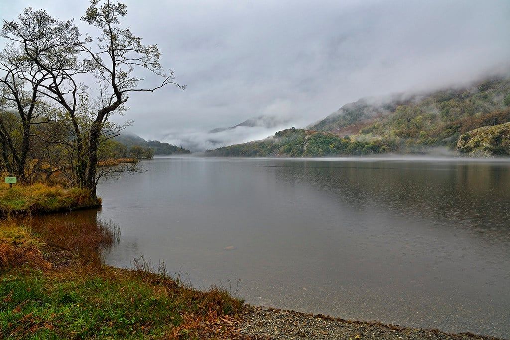 Nebel und tiefe Wolken liegen über dem Wasser und den bewaldeten Hängen des Llyn Gwynant in Snowdonia.