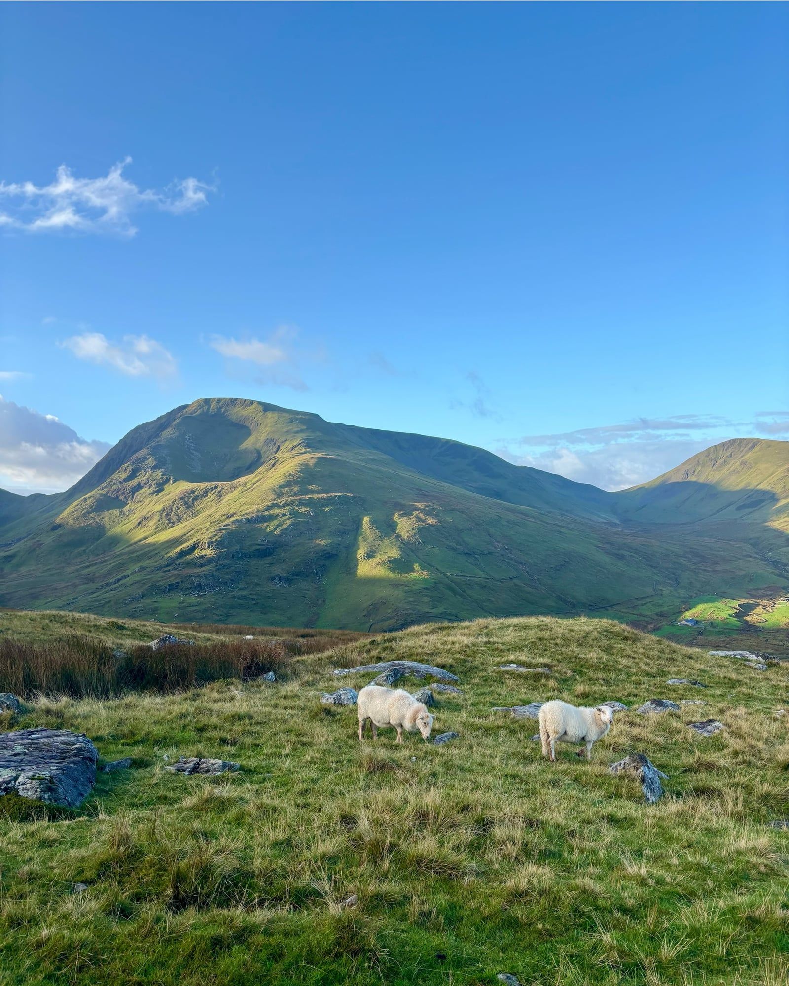 Snowdonia Ansicht